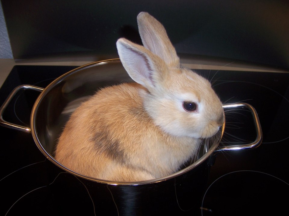 Was ist in der Höhle? Schöne Bescherung oder böse Überraschung?