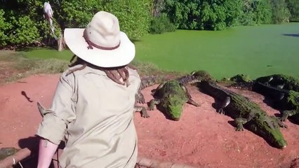Crocodile rips off its playmate's arm