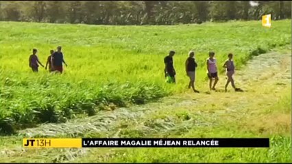 appel à témoins Méjean