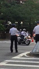 Eager spectators cheer on Pope Francis