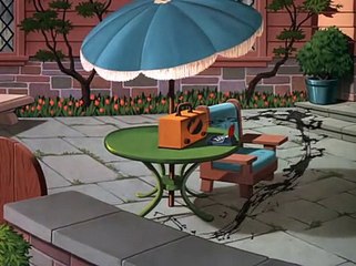 22.Slide.Donald.Slide.1949.DVDRip.XViD-MRC