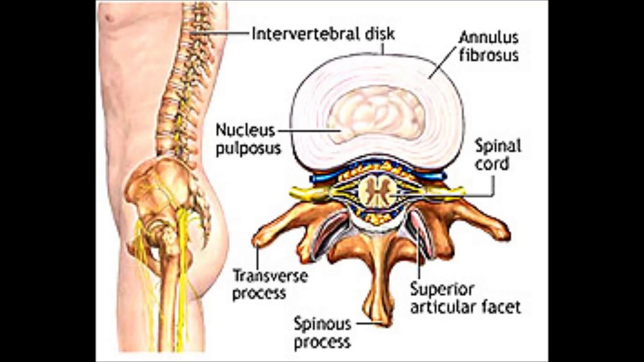 Spine Hospitals in India