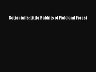 Cottontails: Little Rabbits of Field and Forest Read Online Free