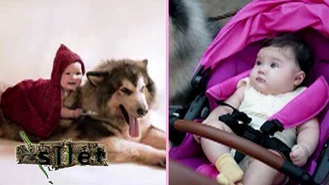 Ekspresi Lucu Sejumlah Bayi - Silet 01 Oktober 2015