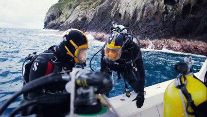 LES REQUINS DE LA COLERE - Extrait