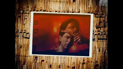 DON 3 | Shahrukh Khan upcoming movies 2015 & 2016 2017