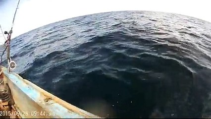 Salt Water Fishing Ayub Khatri Mackerel 28 Sep 2015