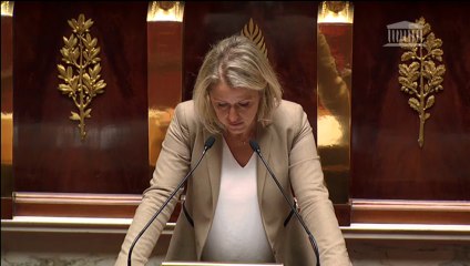 Deuxième dividende numérique et modernisation de la TNT