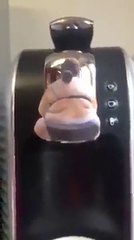 Co ai dam uong cafe gai xinh nay ko -