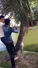 Thanh niên đu cành dừa và cái kết