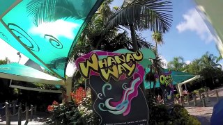 Whanau Way - Yellow Slide : HD POV - Aquatica Water Park (Orlando, Florida)