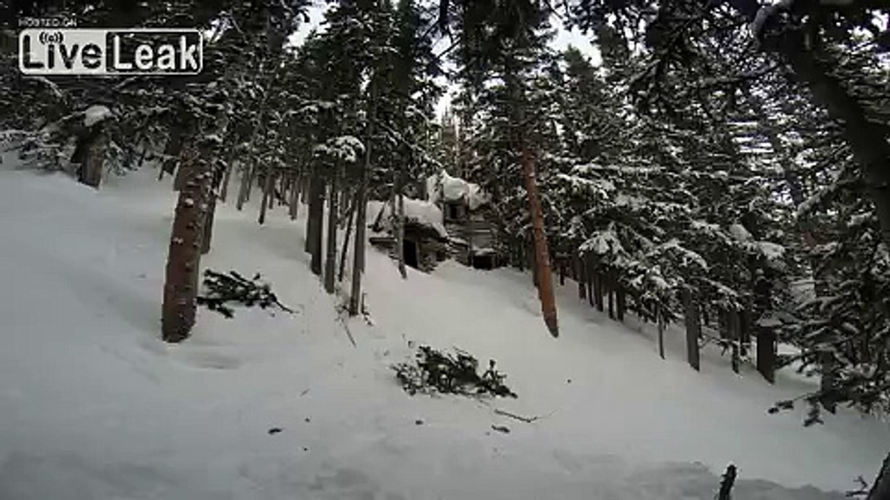 TNT
