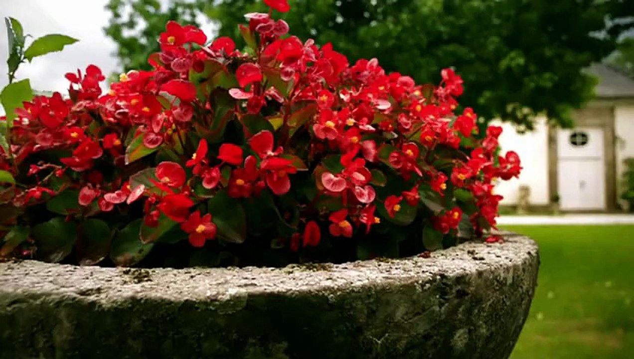 Marlene & Rebecca - Part 067.1 (Ep. 4172)