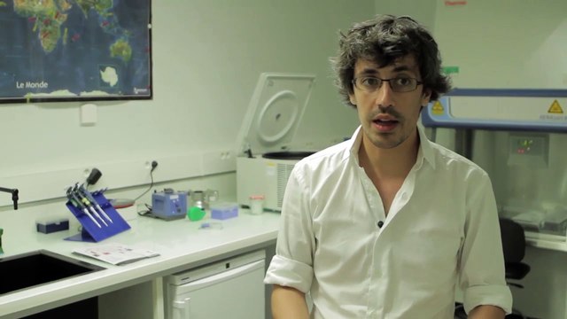 À la rencontre des chercheurs du Musée de l'Homme - Paleogénomique et génétique moléculaire humaine