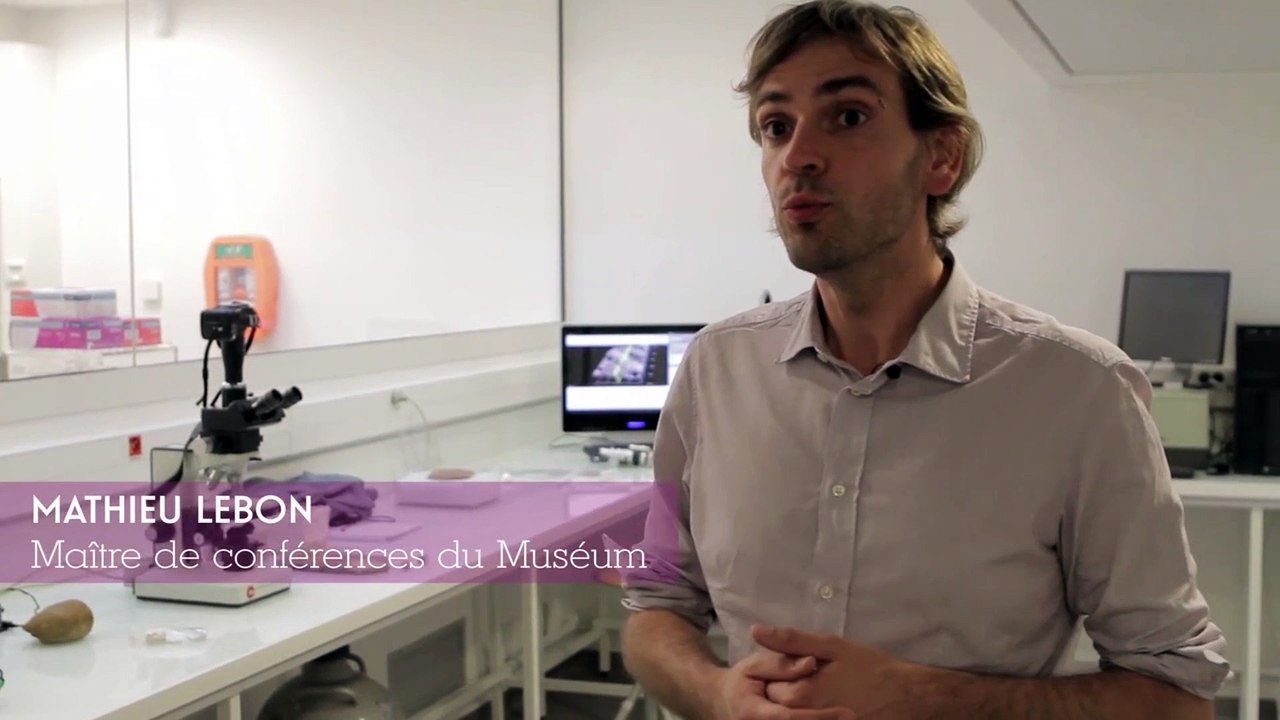 A la rencontre des chercheurs du Musée de l'Homme - Matthieu Lebon