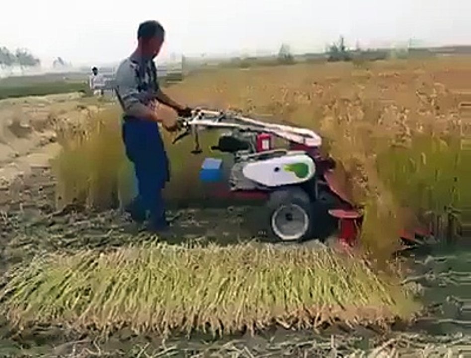 Rice Cutting Machine