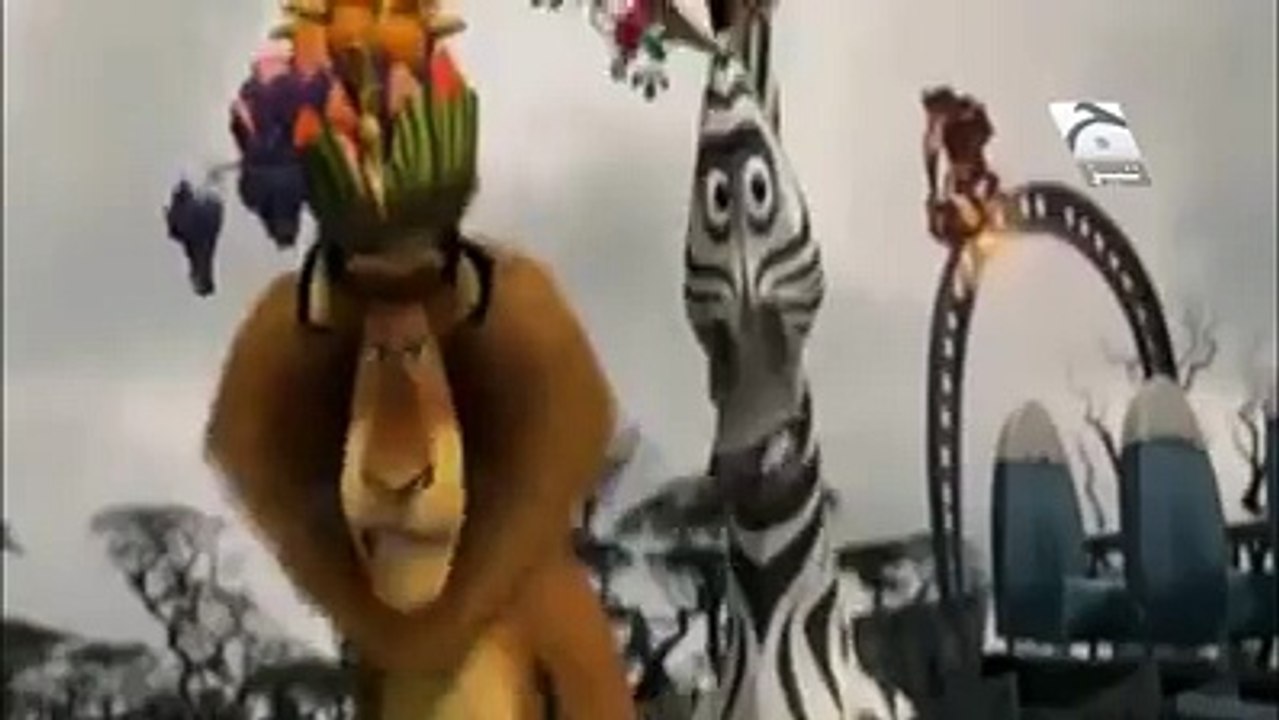 KIRAN COLLECTIONS ANIMALS FUNNY CHAT