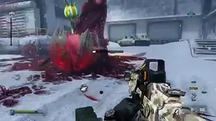 Call of duty ghosts nightfall