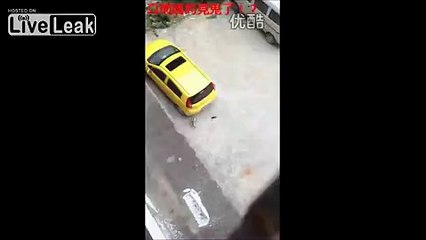 Real life Tom and Jerry