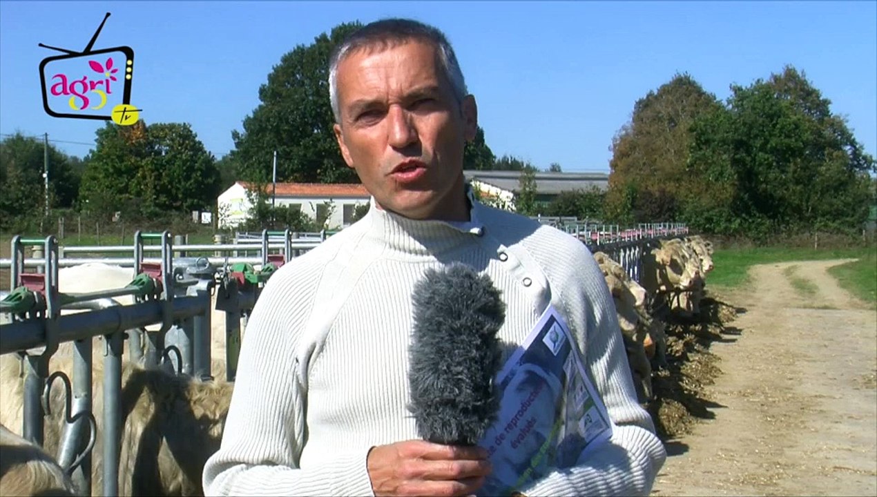 Vente de reproducteurs aux Etablières le 9 octobre 2015