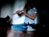 Ce chat déteste la flûte... Attaque direct!!!