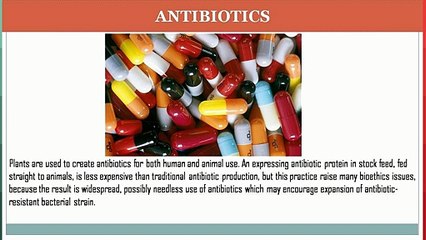 Application of Biotechnology In Agriculture by Anila Rani Pullagura