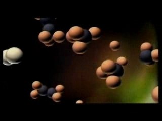 Vie terrestre ! Vie extraterrestre ?