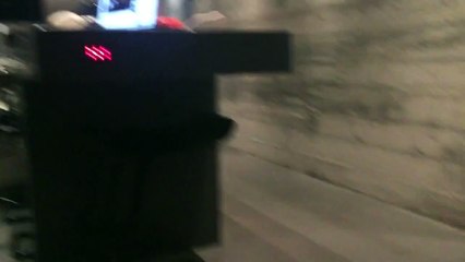 Un chien fait du moonwalk