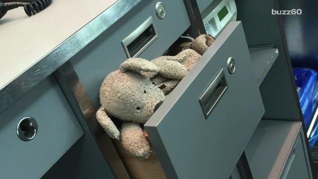 Toronto airport employees take lost stuffed animal on an adventure