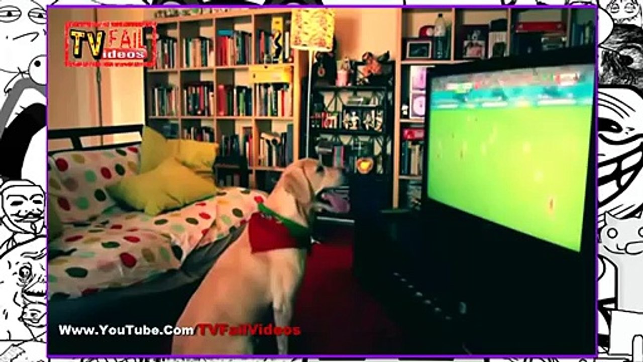 Increible Perro que le gusta el Futbol celebra Gol Del Mundial Brasil 2014