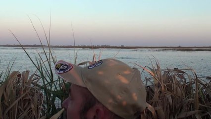 ERIC ET LES CANARDS ARGENTIN.m2ts