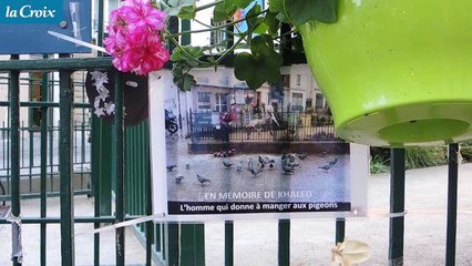 Khaled, l'homme qui donnait à manger aux pigeons 2