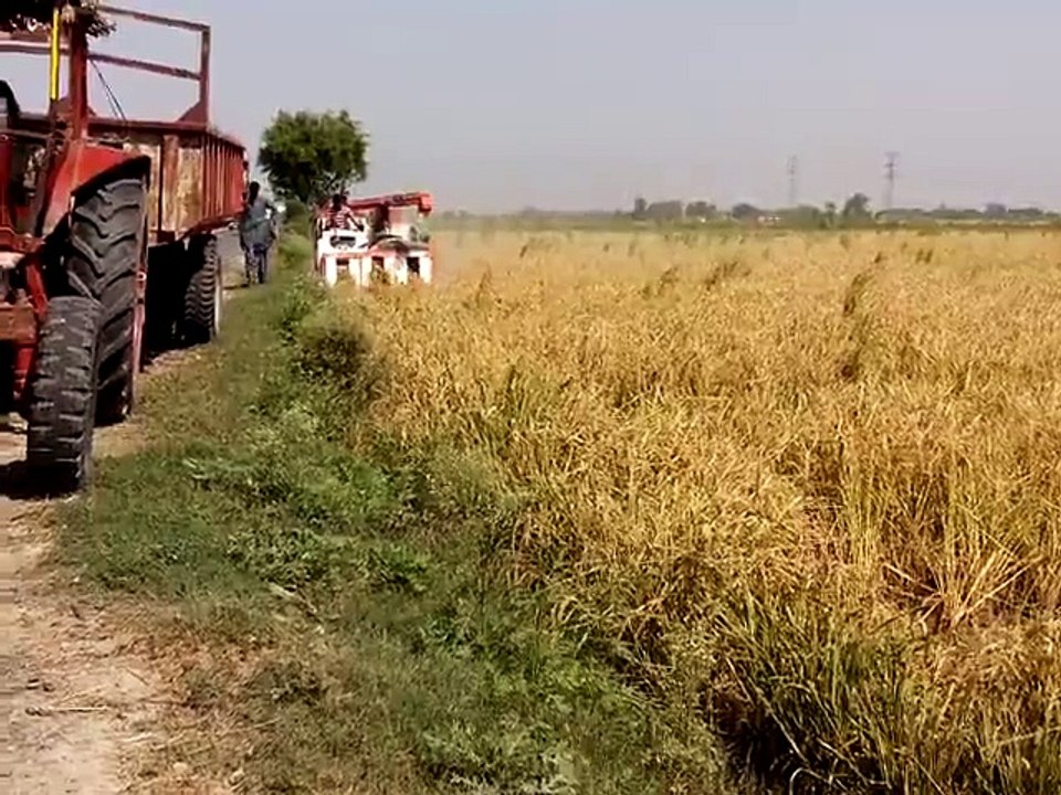 Kubota machine