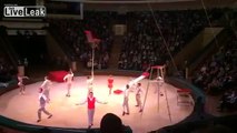 Circus Act Goes Horribly Wrong