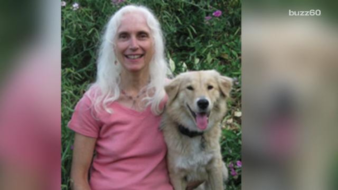 How music is help soothing shelter cats and dogs