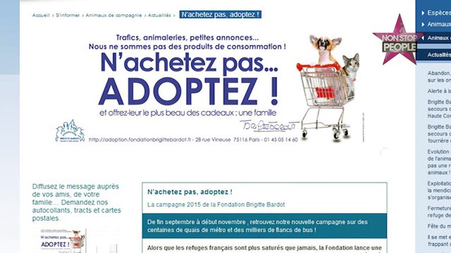 Brigitte Bardot : Son nouveau coup de gueule pour la cause animale !