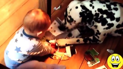 Funny videos 2015, Babies Laughing at Dogs