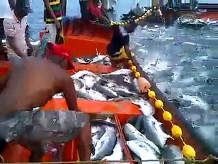 Elle Balık Yakalamak