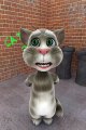 Talking Tom Singing Like Bohemia