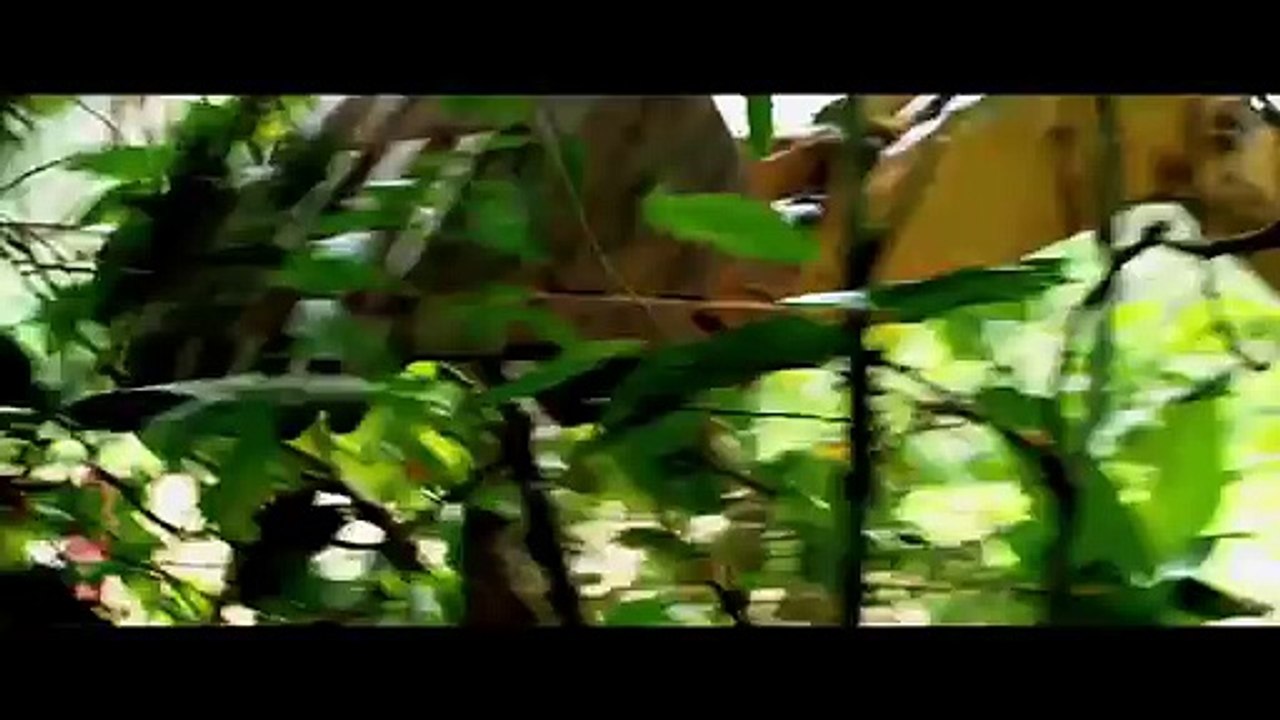 Eli Roth Explains “The Green Inferno”—His New Cannibalistic Horror Film