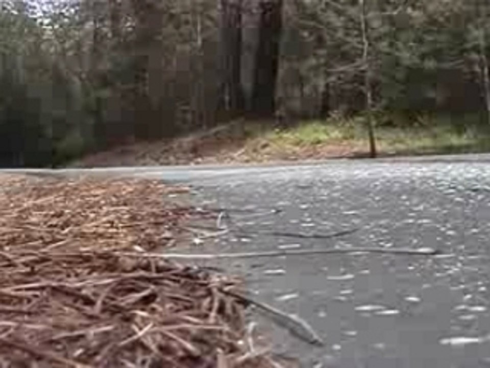 I would walk forever for you