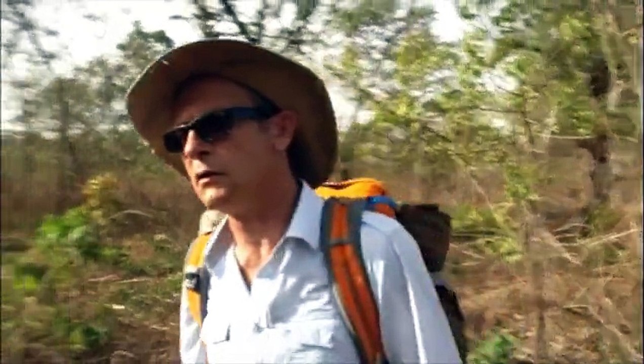 Ô bout du monde Mission Sénégal extrait : l'attaque des abeilles