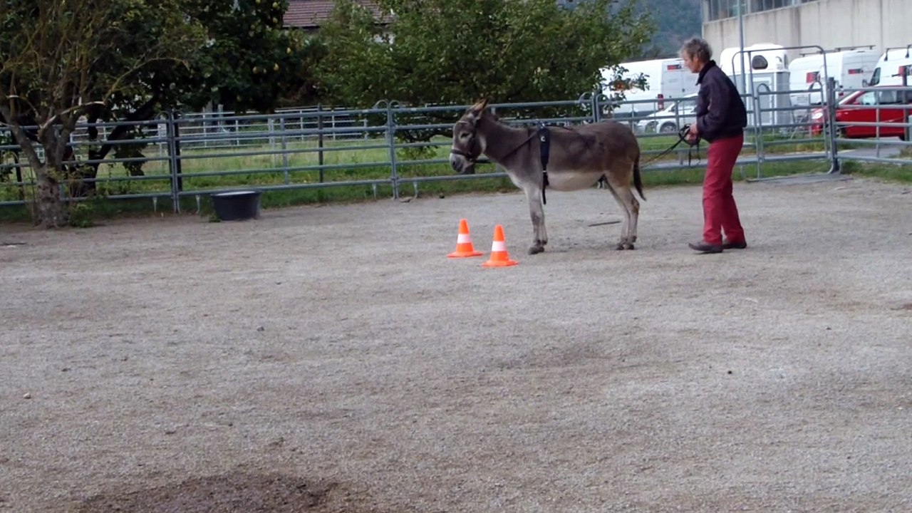 Défi flash 2