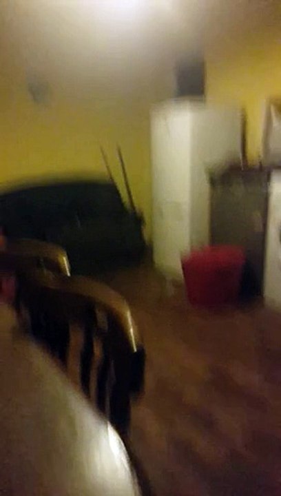 Elle filme des phénomènes paranormaux dans son salon