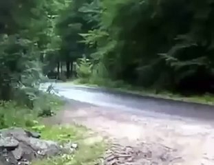 Insane Rally Car Crash Save