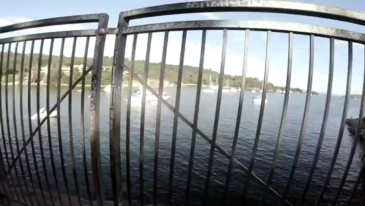 GoPro_ Man Fights Off Great White Shark In Sydney Harbour