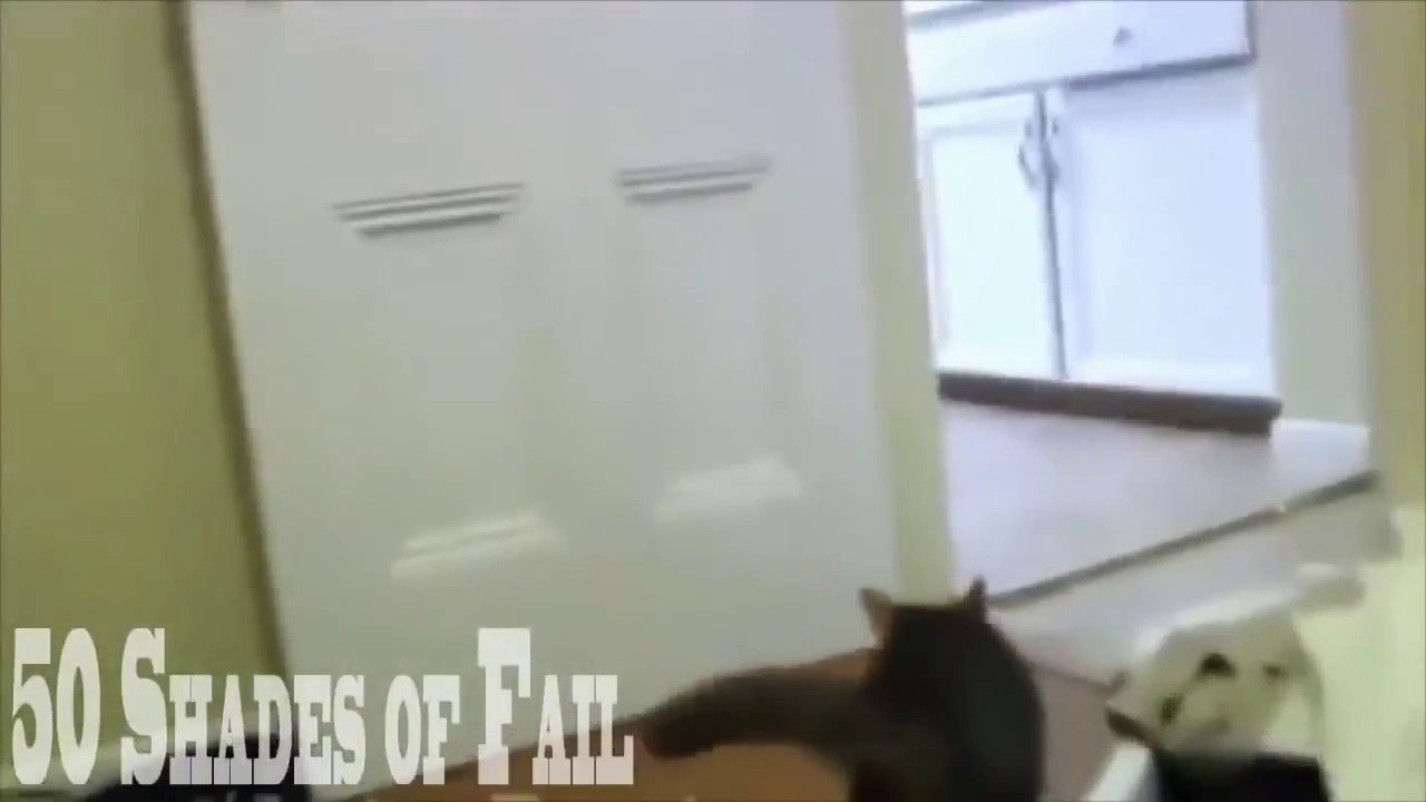 Funny Videos Compilation 2015 Agust