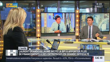 "La Bpi devrait être plus audacieuse dans certains domaines", Laurent Grandguillaume - 01/10