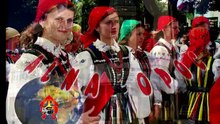 Bieg Trzeźwości