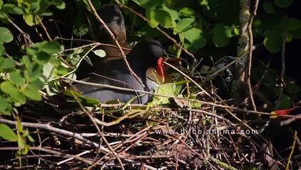 Bekijk de trailer van de Noorderplantsoen-docu - RTV Noord